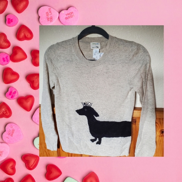 J. Crew Other - 🔥🌈HOST PICK🔥🎉 NWT J Crew Girls Sweater